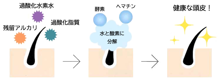 お気に入 新品未開封 サラメンテ イッタナジオ リフィル setonda.com